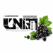 Табак для кальяна Unity Black Currant (Чёрная смородина) 100 гр